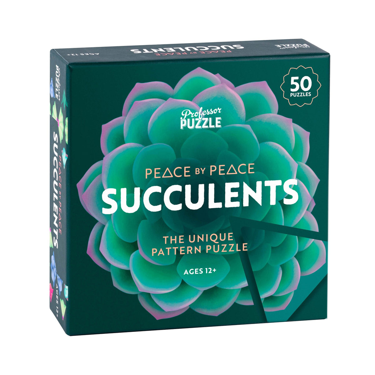 Brain game Professor Puzzle - Peace by Peace: Succulents
