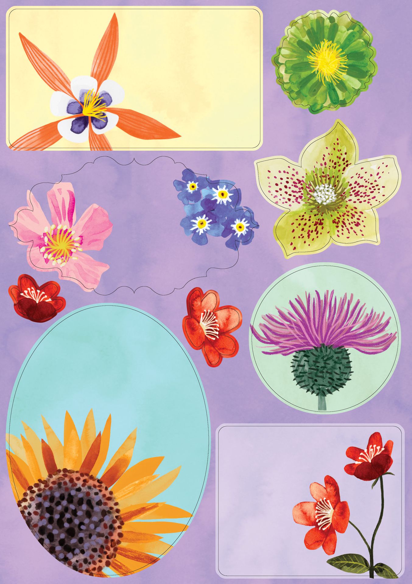 Kirjepaperisetti Roger la Borde - Floral Supernova