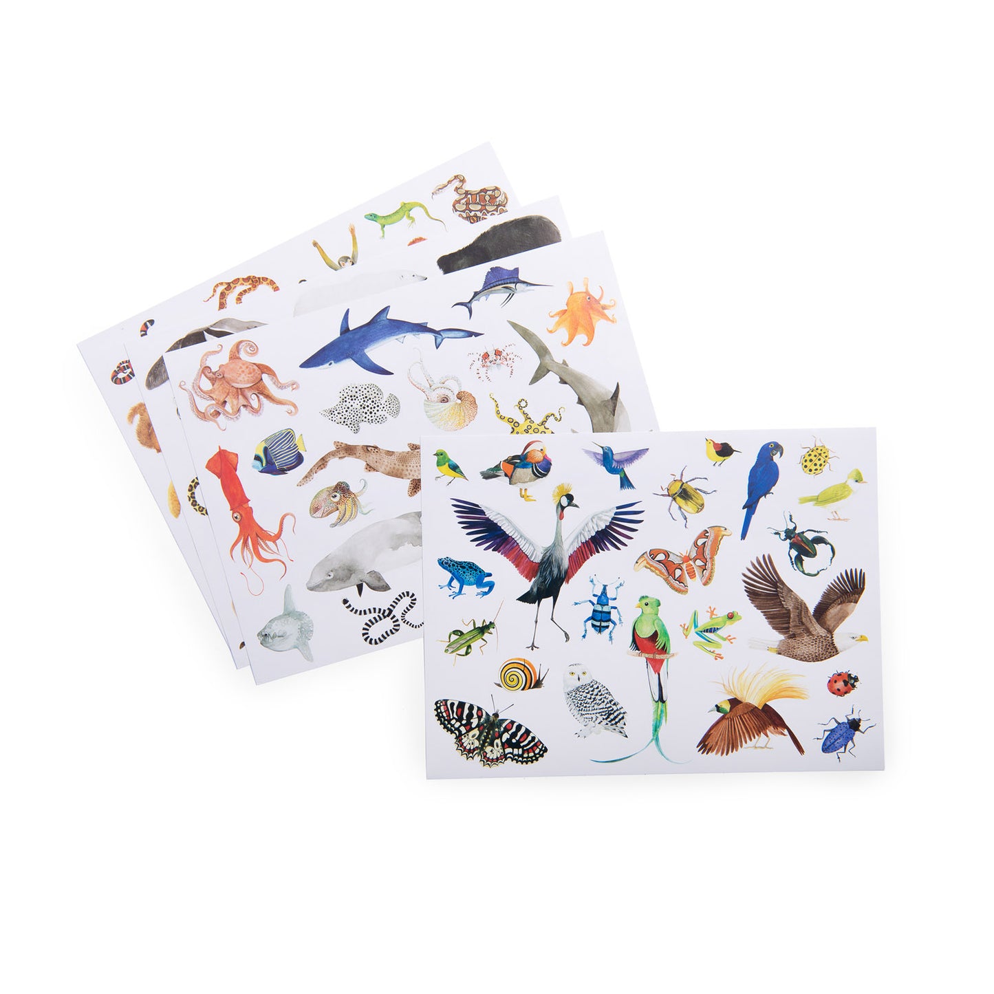 Sticker pack Moulin Roty - Animals