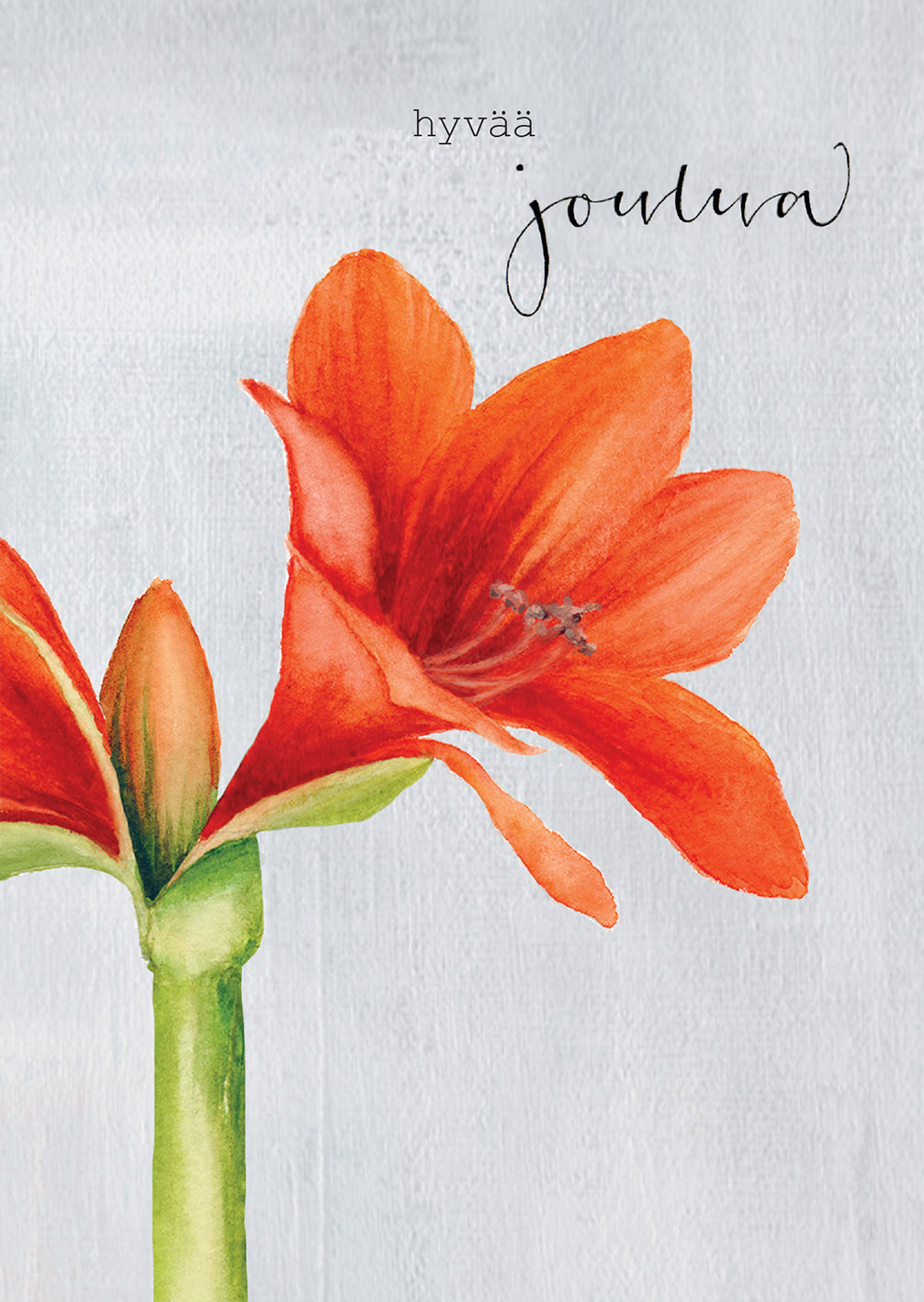 2-part Christmas card Henna Adel - Amaryllis red