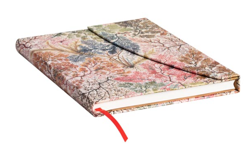 Notebook Paperblanks - Anemone, Midi