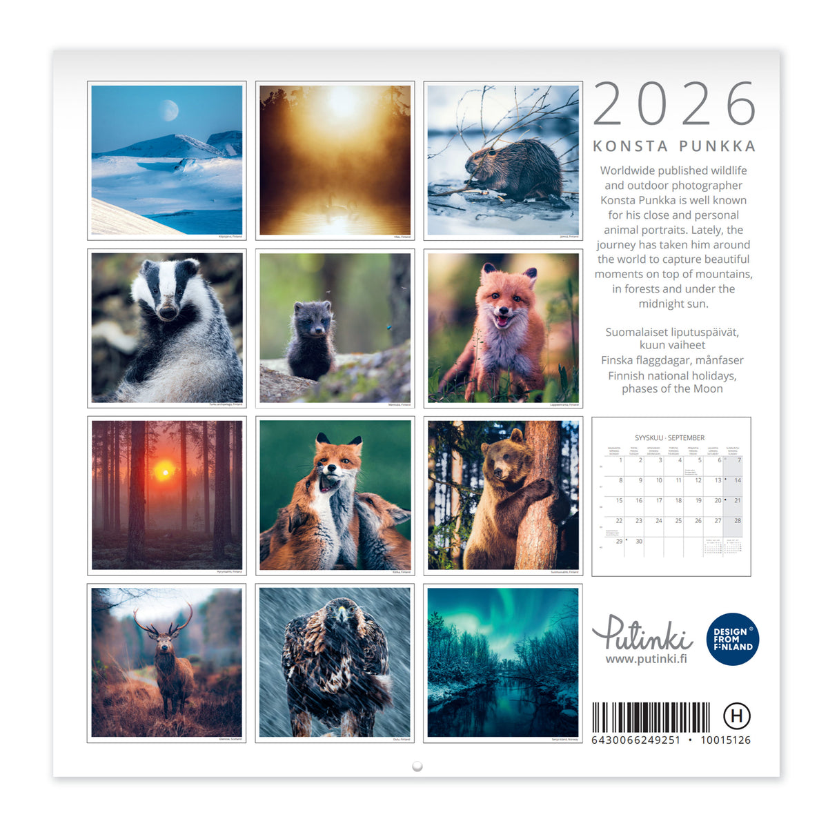 Wall calendar 20x20 cm 2026 Putinki Punkka
