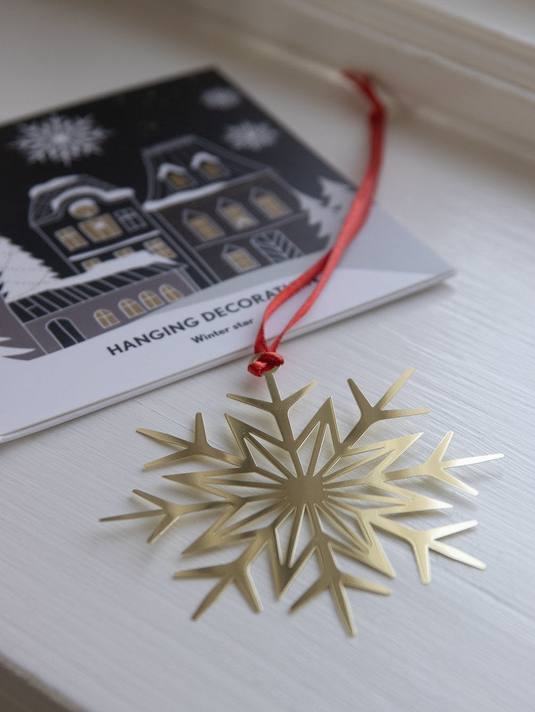 Koriste Pluto Design - Winter Star