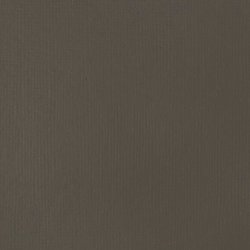 Liquitex Basics 118ml akryyliväri - 331 Raw Umber