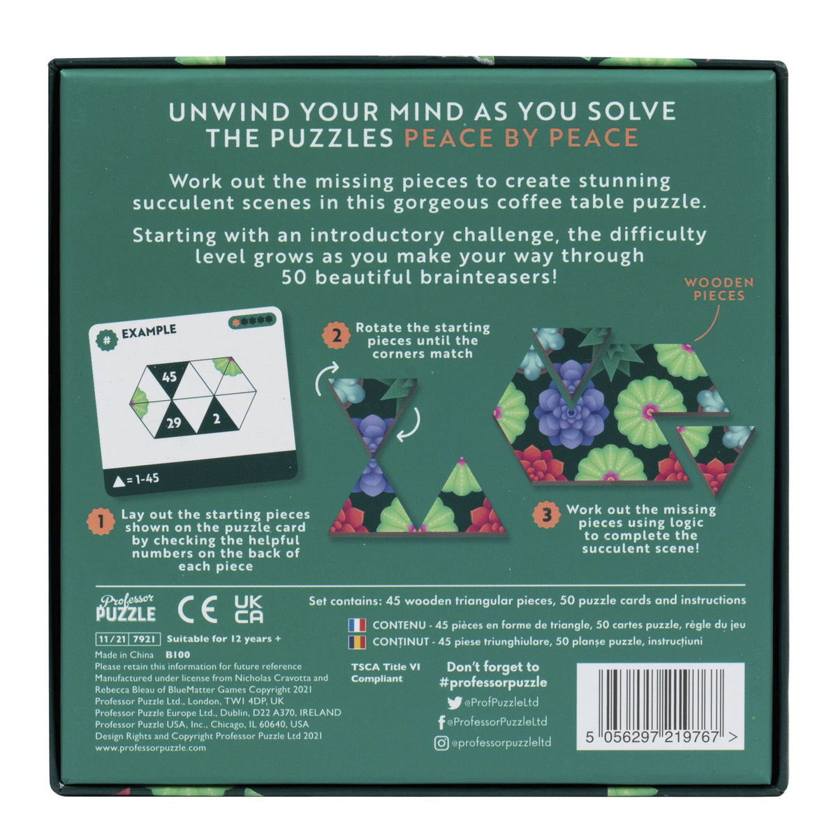 Brain game Professor Puzzle - Peace by Peace: Succulents