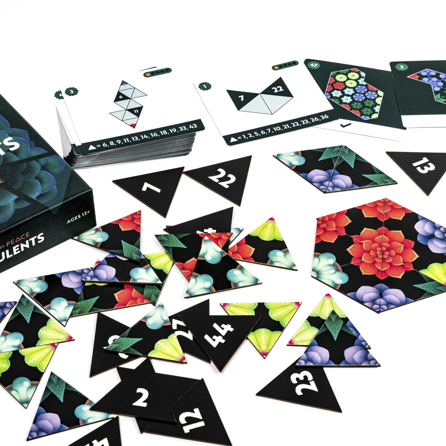 Brain game Professor Puzzle - Peace by Peace: Succulents