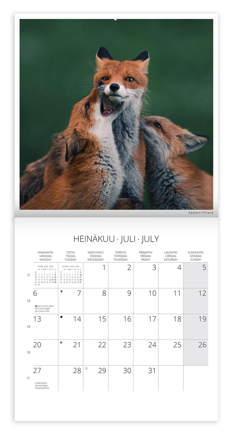 Wall calendar 20x20 cm 2026 Putinki Punkka