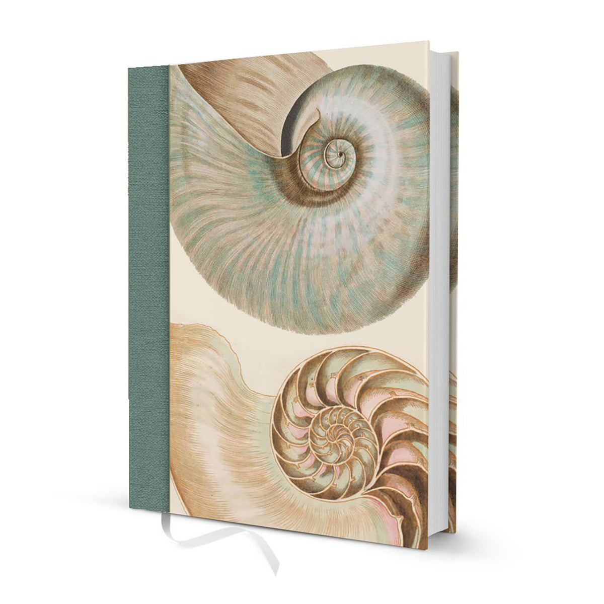 Notebook John Nurminen - Mussels