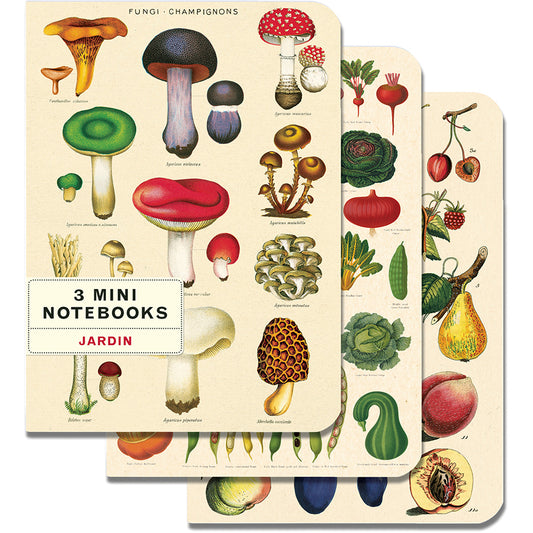 Notebook set Cavallini mini - Le Jardin