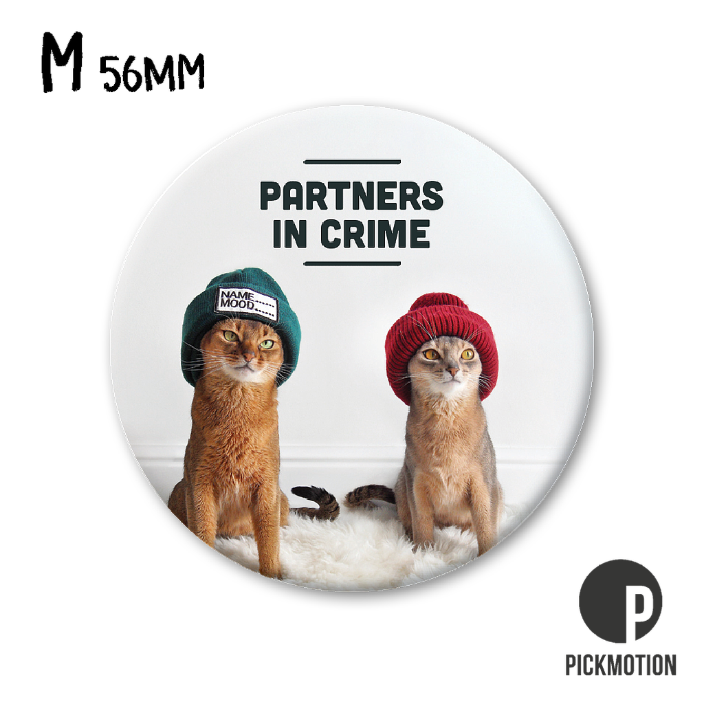 Magneetti Pickmotion M - Partners in crime