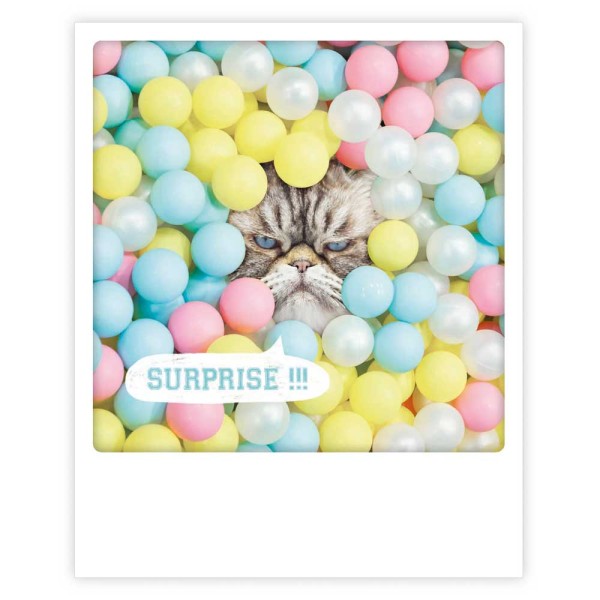 Postcard Pickmotion - Cat in a sea of ​​balls