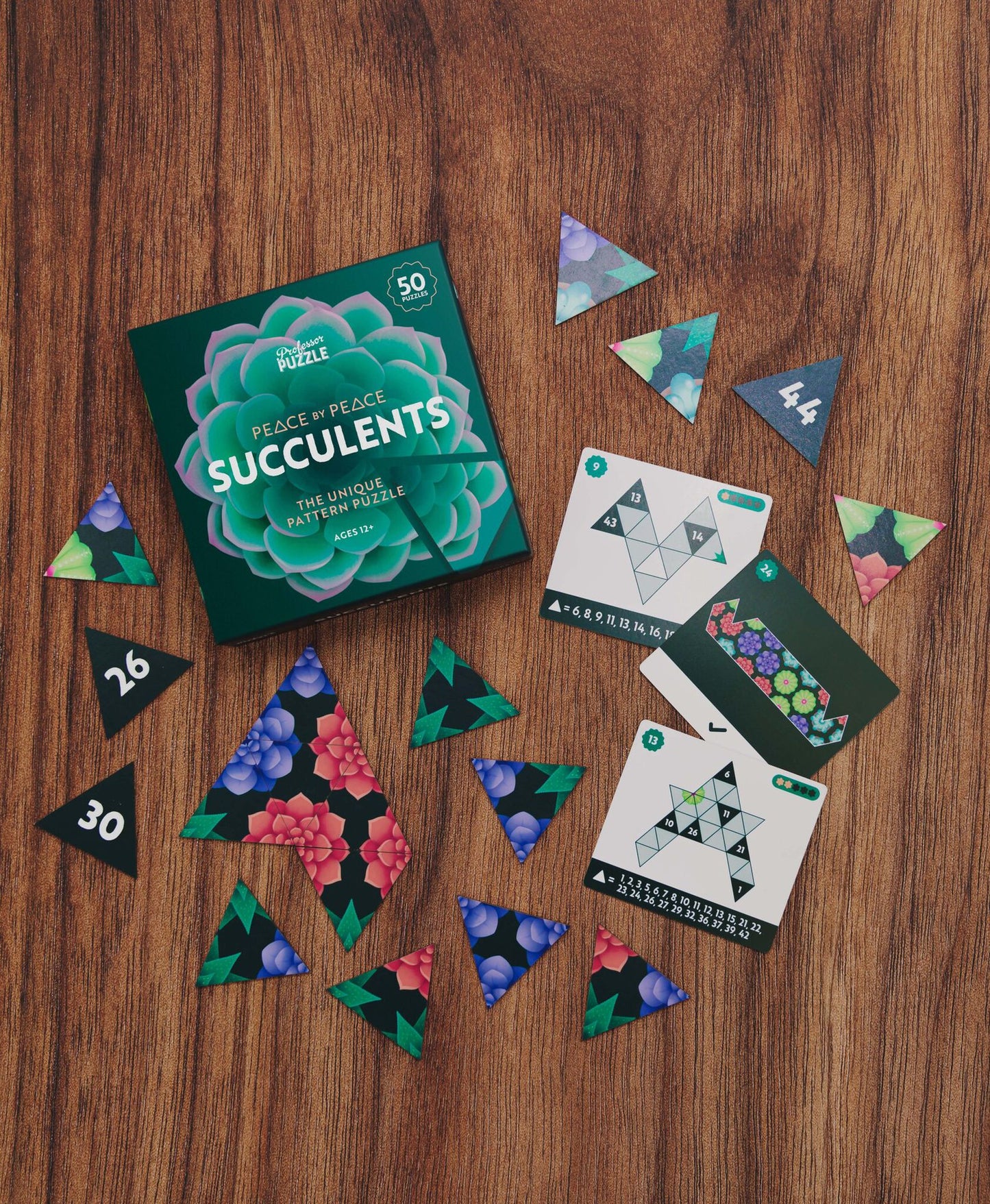Brain game Professor Puzzle - Peace by Peace: Succulents