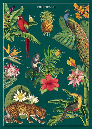 Juliste Cavallini - Tropicale