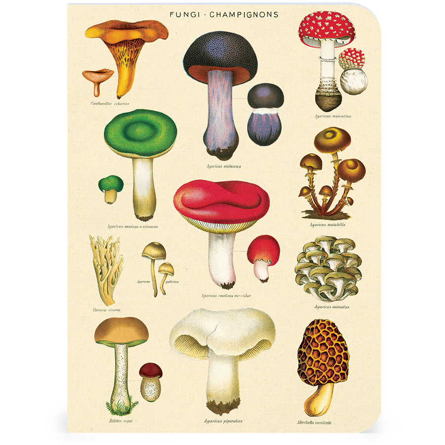 Muistikirjasetti Cavallini mini - Le Jardin