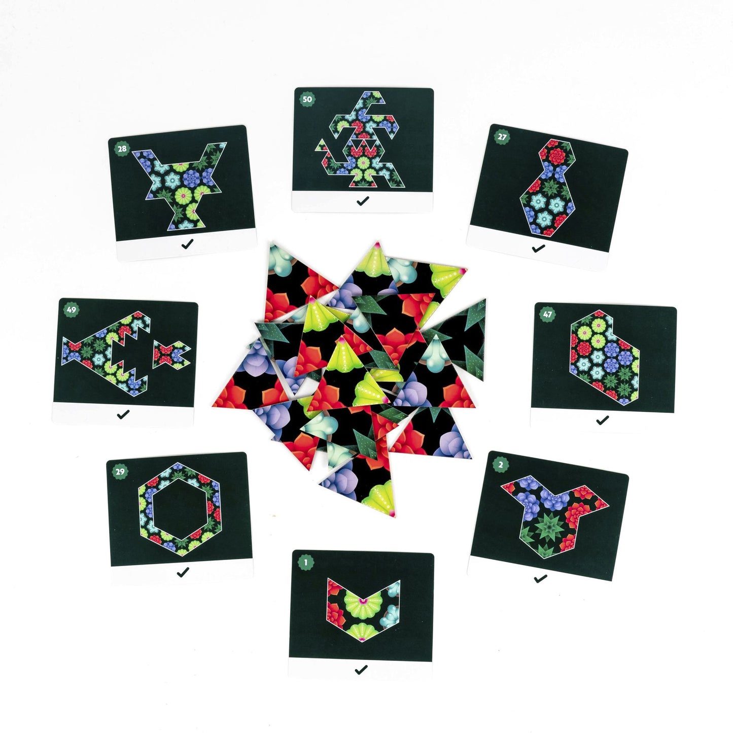 Brain game Professor Puzzle - Peace by Peace: Succulents