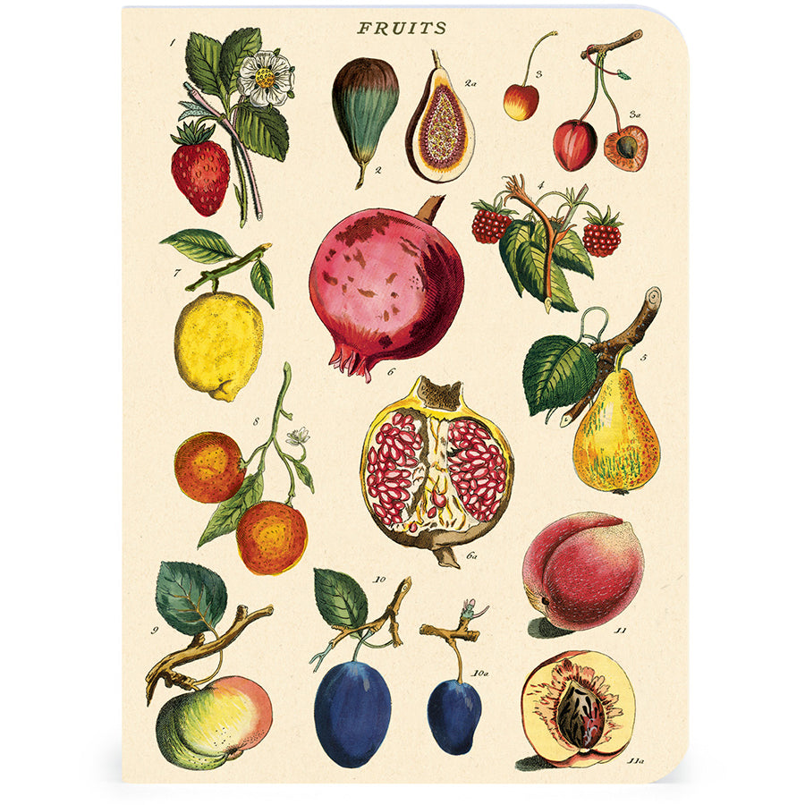 Muistikirjasetti Cavallini mini - Le Jardin