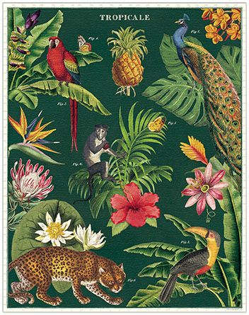 Puzzle Cavallini - Tropicale
